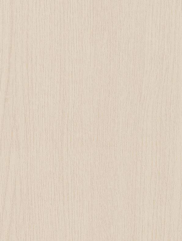 CT18 White Birch