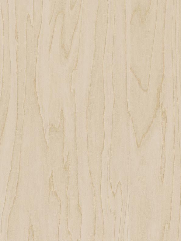CT19 Gold Pale Birch