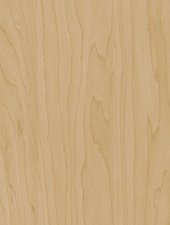 CT20 Gold Beige Birch