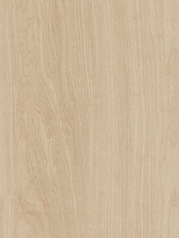 CT93 Beige Acacia