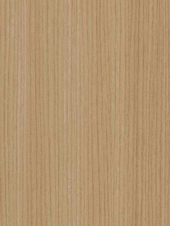 CT97 Almond Palm Tree