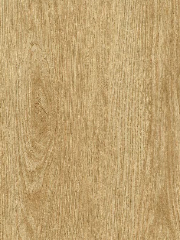 NF34 Tan Oak