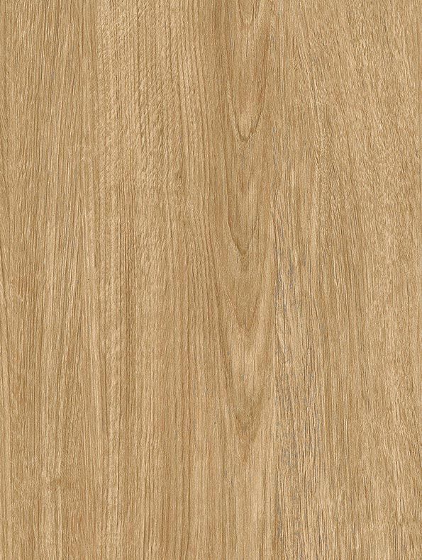 NF41 Cinnamon Oak